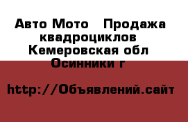 Авто Мото - Продажа квадроциклов. Кемеровская обл.,Осинники г.